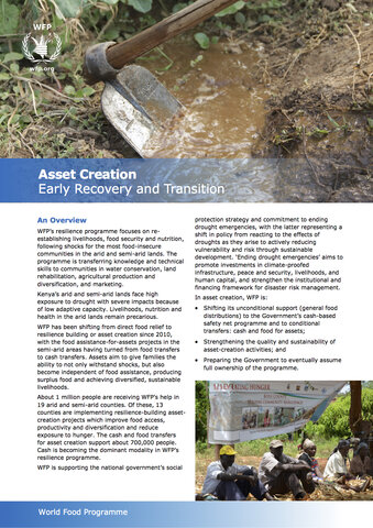 Asset Creation: Early Recovery And Transition
