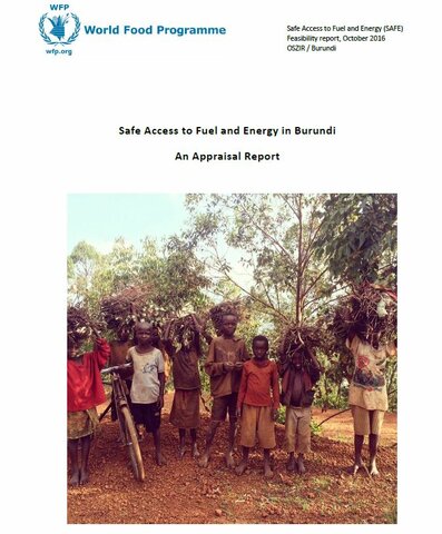 Safe Access to Fuel and Energy in Burundi - An Appraisal Report