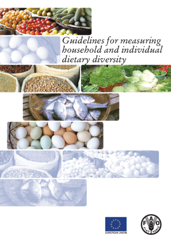 Guidelines for measuring household and individual dietary diversity