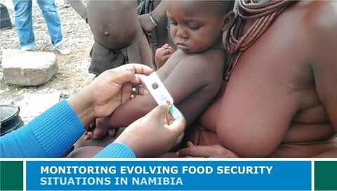 Monitoring Evolving Food Security Situations in Namibia