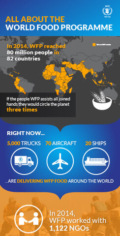 2014 -  All about WFP