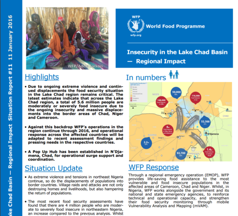 WFP Insecurity in the Lake Chad Basin - Regional Impact - Situation Report #11, 11 January 2016