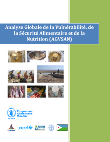 https://cdn.wfp.org/wfp.org/publications/Djibouti_CFSVA_2014_FINAL.pdf
