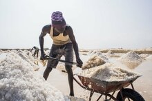 WFP/Ala Kheir, A worker shovels salt in the salt flats of Port Sudan, which has the capacity to produce Sudan’s iodized salt needs
