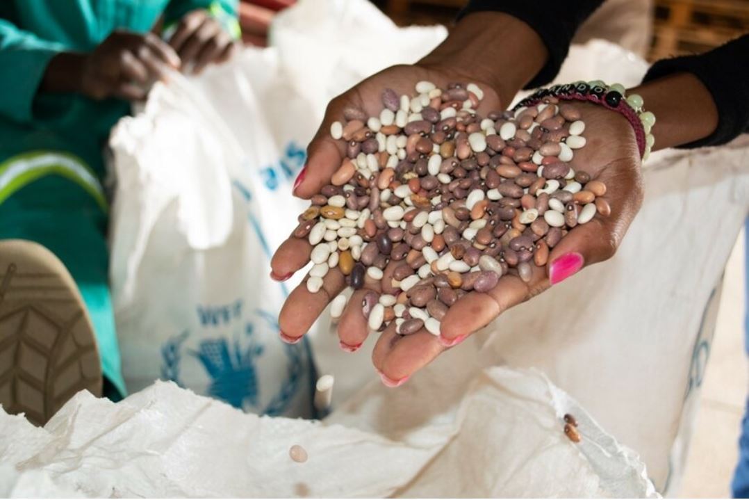 World pulses day: How WFP beans roll into Eswatini from Zambia - Vimarsana News