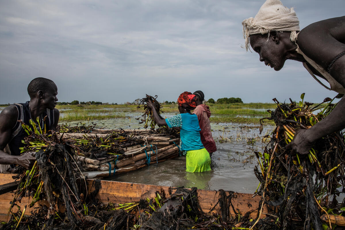 Humanitarian aid alone is not enough for restive South Sudan - Vimarsana News