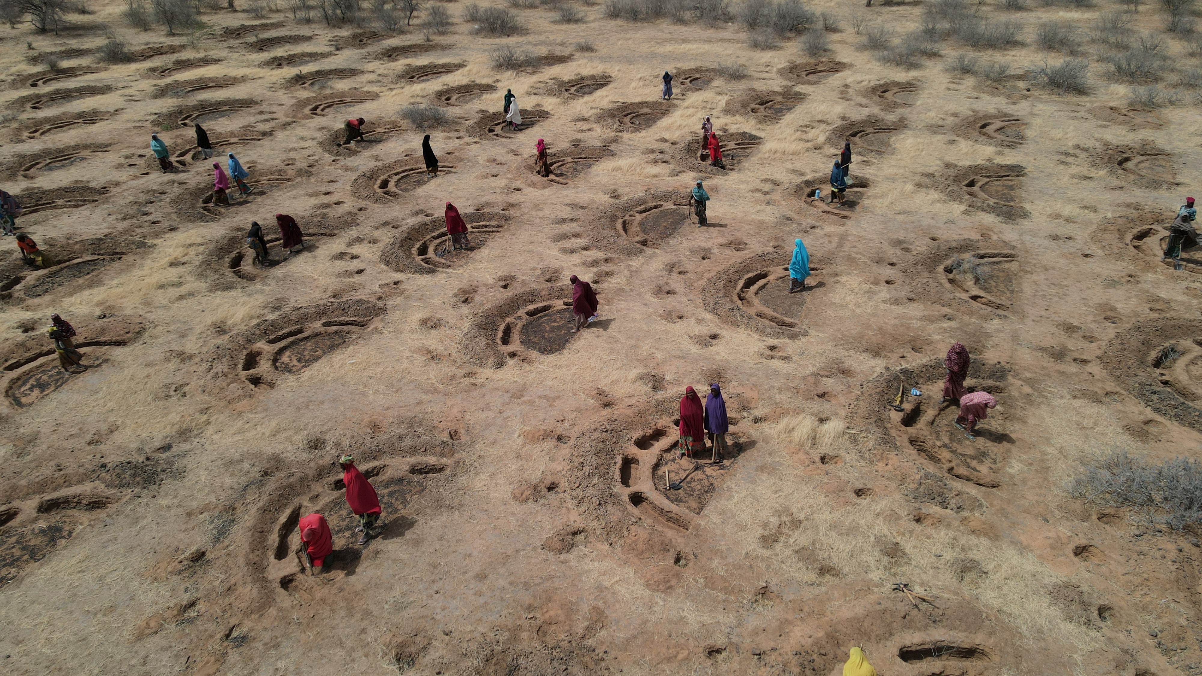 Niger shows how WFP and partners can transform lives in Africa's harsh Sahel - Vimarsana News