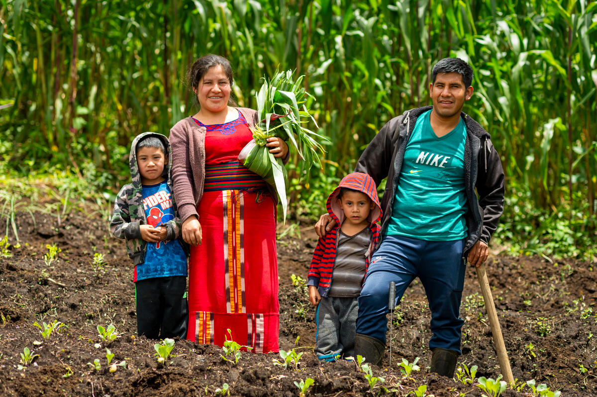 COP28: Race is on to reel back hunger amid climate change - Vimarsana News
