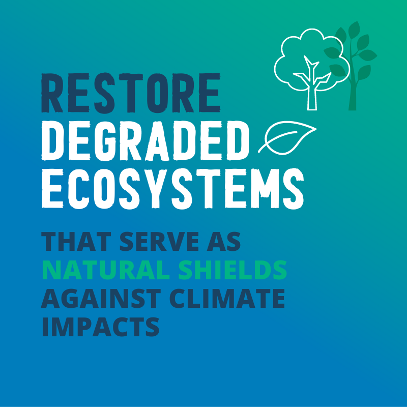 Graphic: Restore Degraded Ecosystems