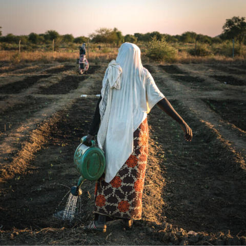 Farming woman