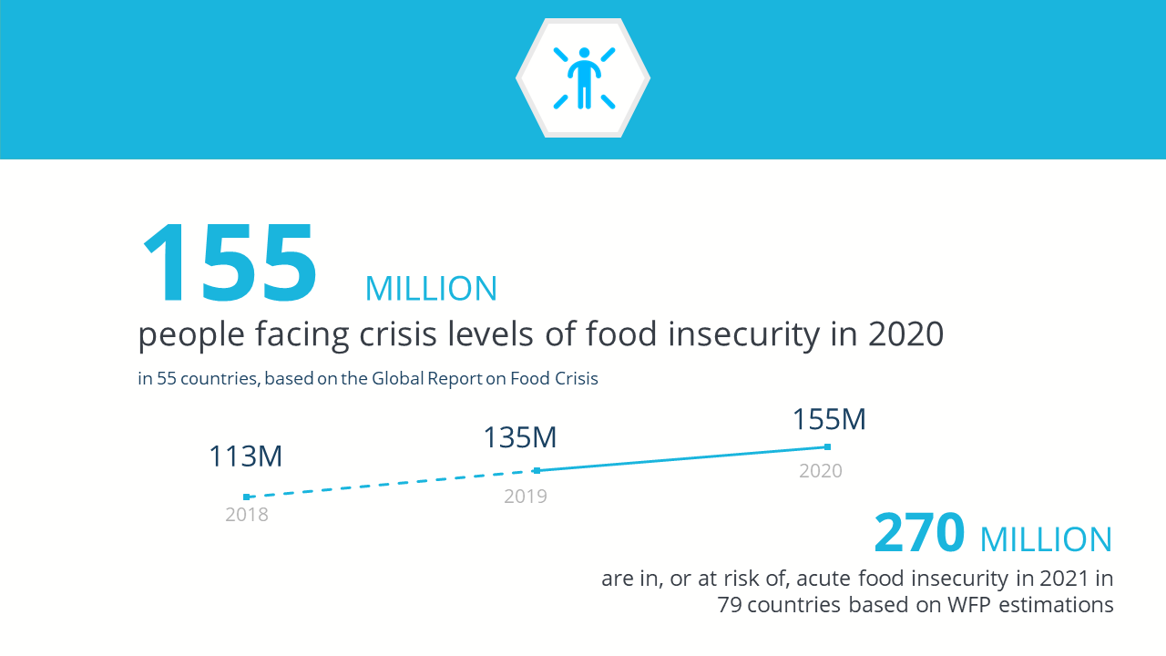 Performance management and accountability | World Food Programme