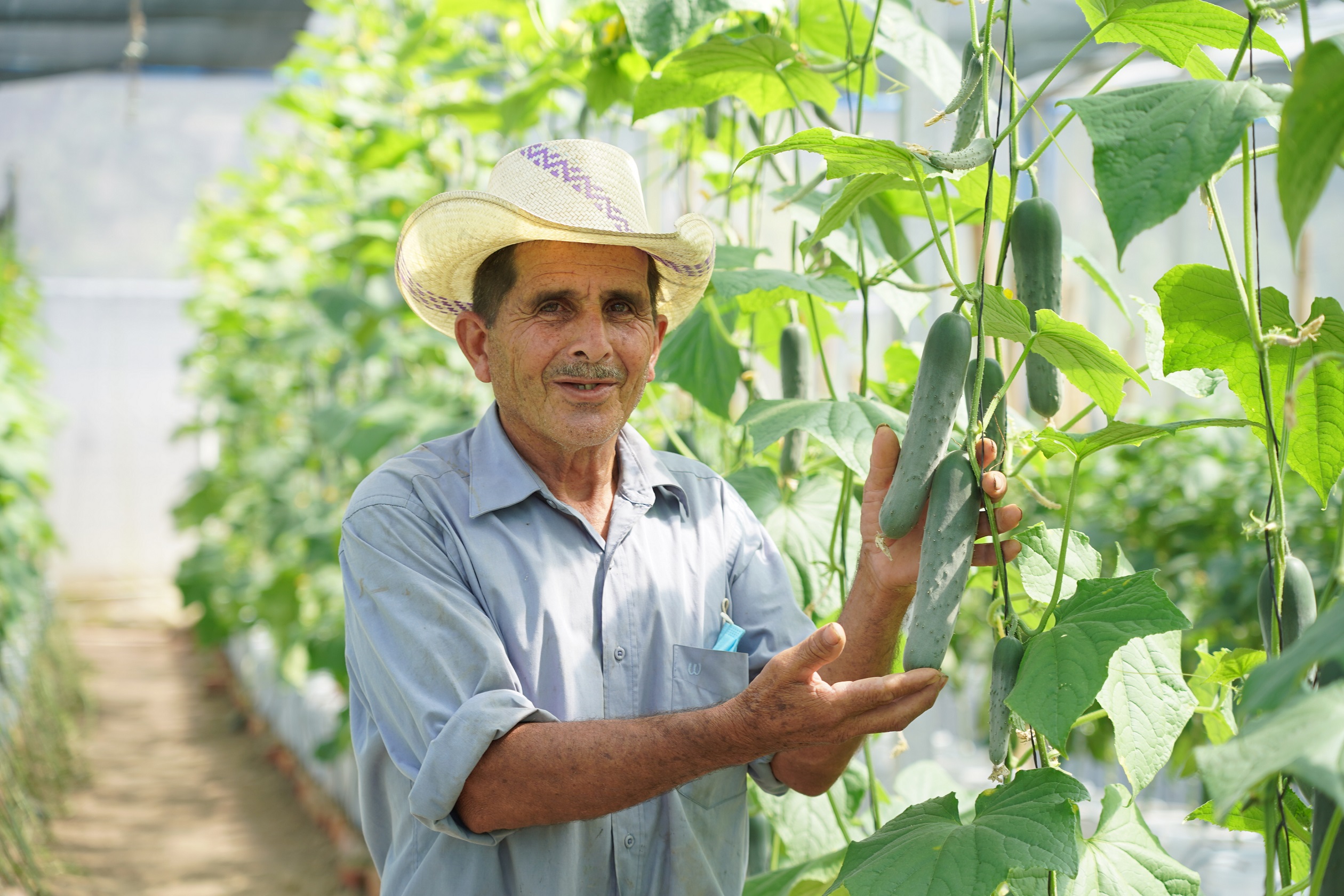 A farmer in El Salvador stands next to one of his plants