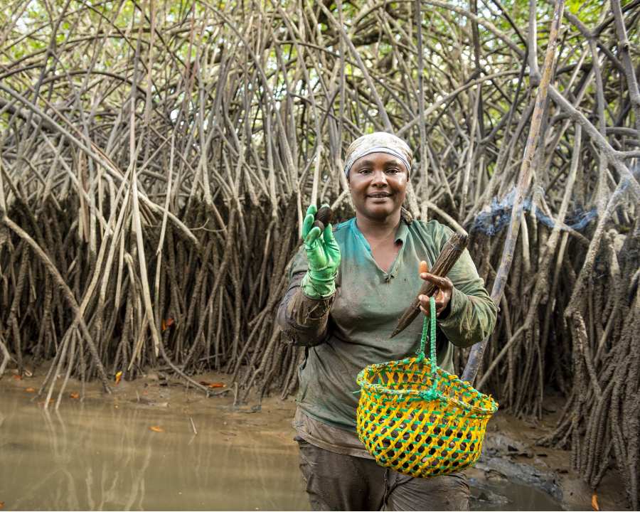A woman stands in water in front of some mangroves