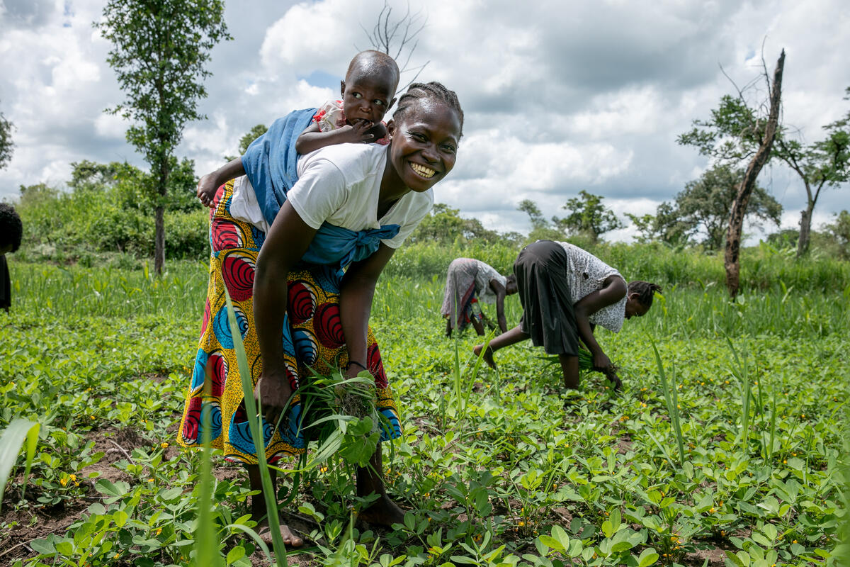 Farmers collecting peanuts at Nambia crop farm in Bazungua payam, Yambio, where WFP supports 23 households with resilience activities. © WFP/Eulalia Berlanga