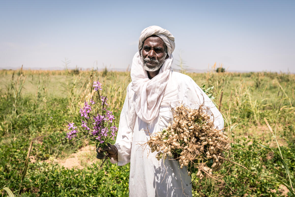 Women in Chad - Wikipedia