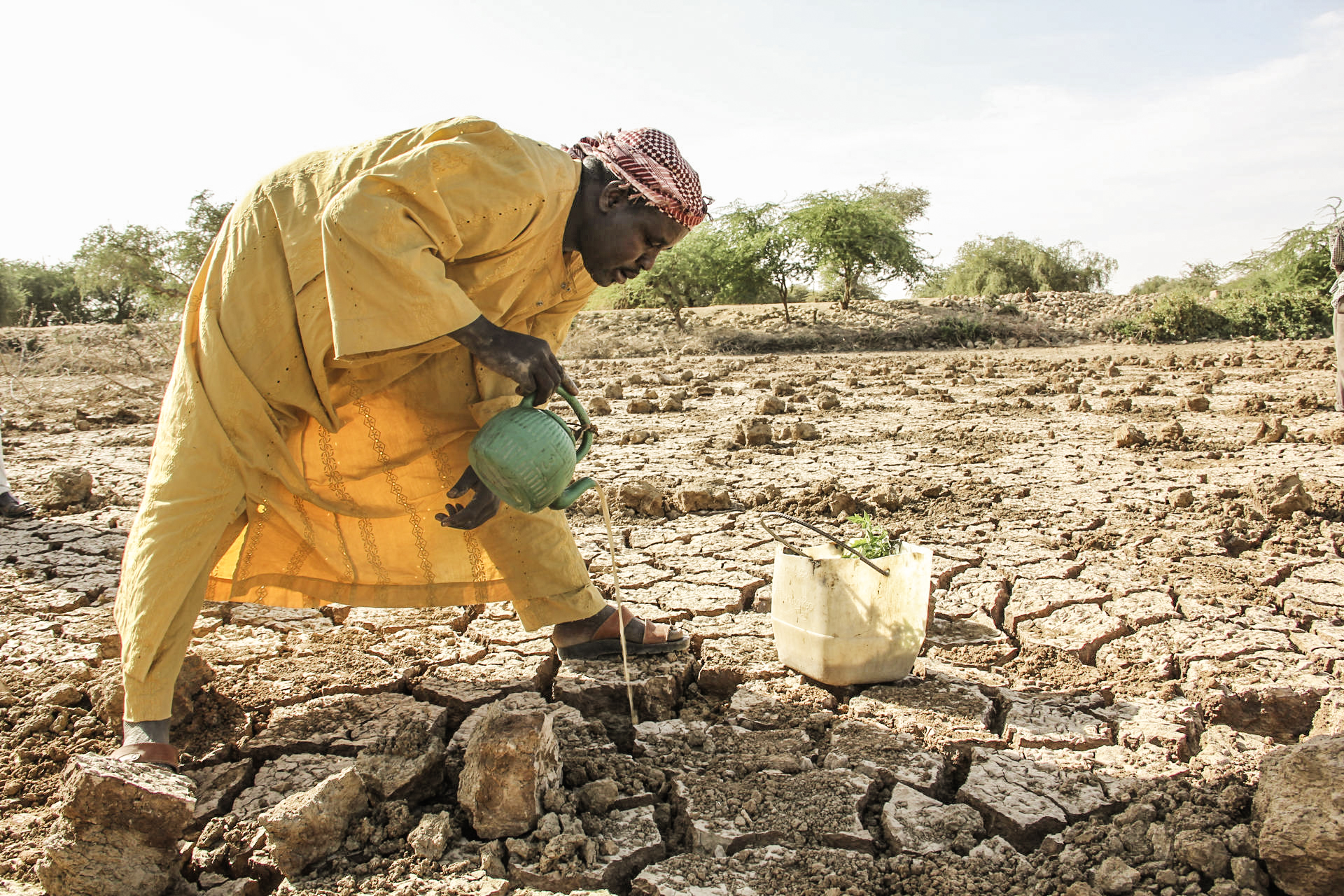 Global hunger continues to rise, new UN report says World Food Programme