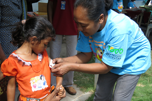 New Atlas Charts Indonesia’s Food Security Progress