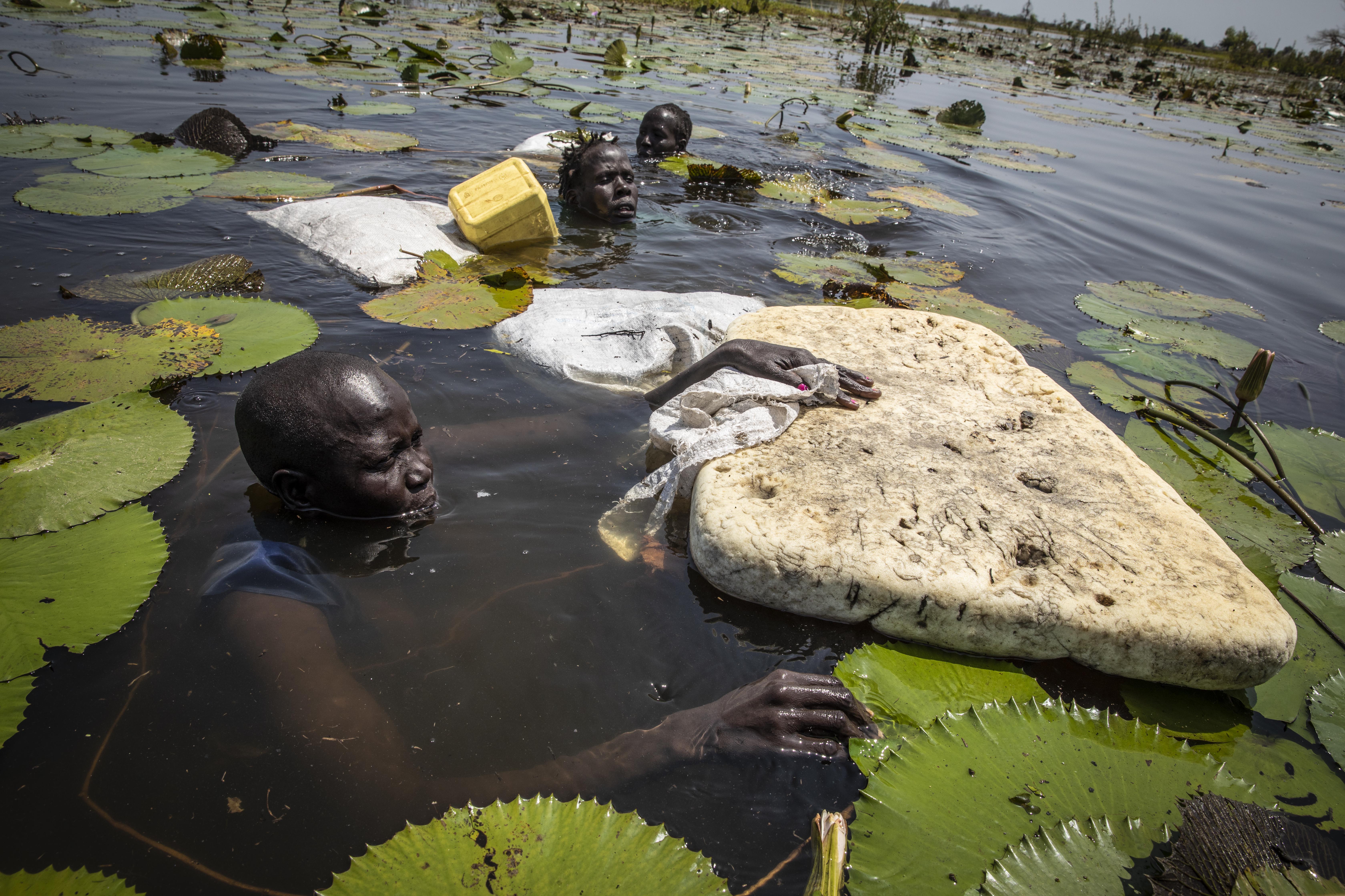 (C)Gabriela VIVACQUA. Meer Koch, 41, displaced within Rubkona county in Bentiu of South Sudan because of flooding, shows WFP the depth of the floodwaters she must wade through in search for water lilies to feed her family. WFP is distributing emergency food assistance as well as livelihoods support to flood-affected populations across 8 of the country's 10 states.