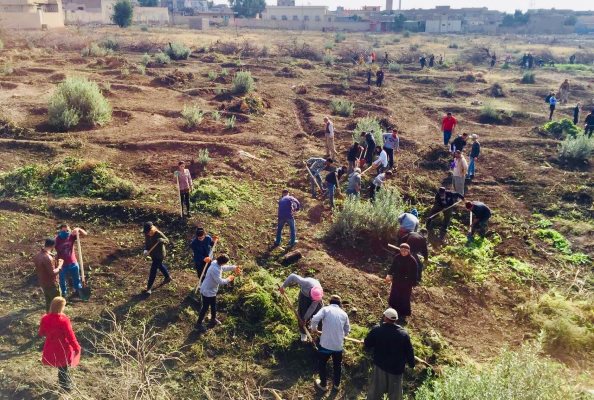 Photo: WFP/ Photogallery, participants get back to work in Ninewa governorate, planting olive trees which had been destroyed during the conflict. 