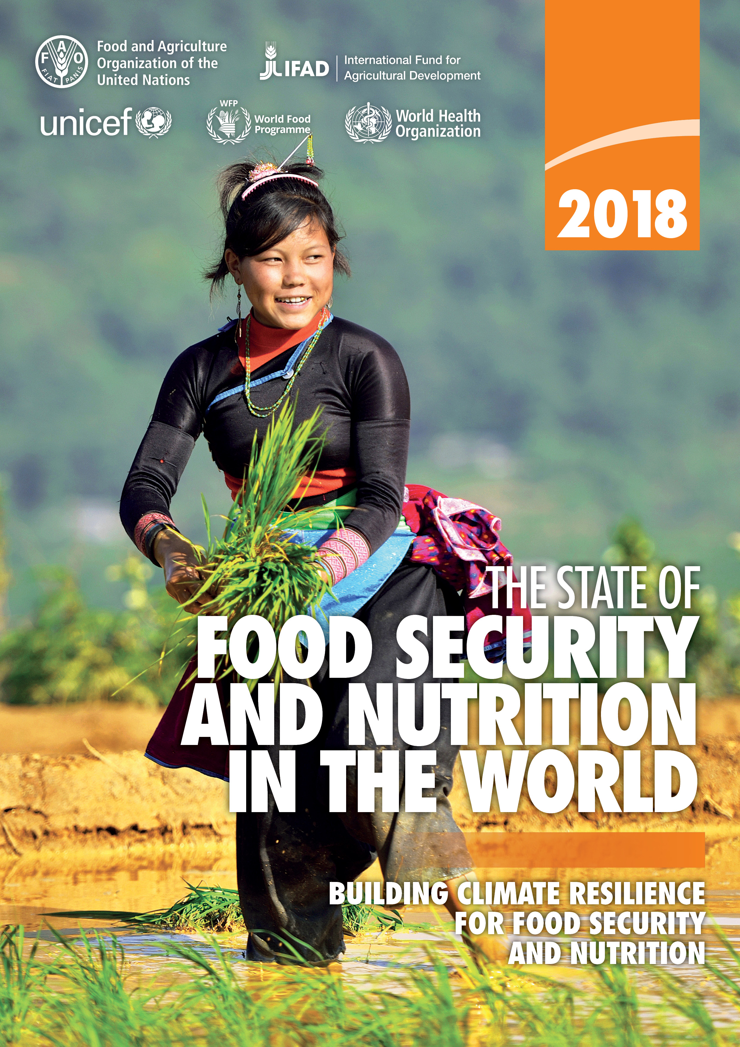 UN to launch new progress report on achieving Zero Hunger