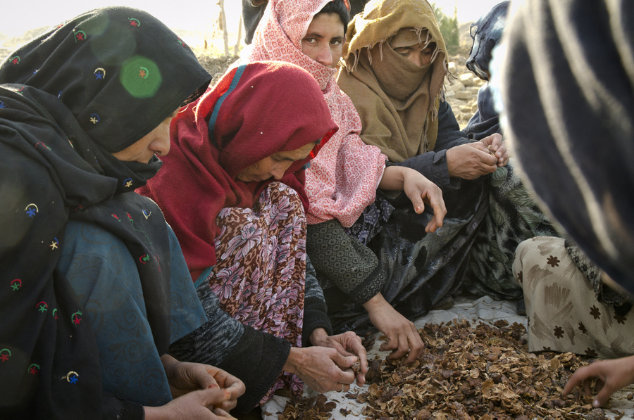Severe Food Insecurity On The Rise In Afghanistan – “Extremely Alarming Trend” UN And Partner Agencies Release New Assessment