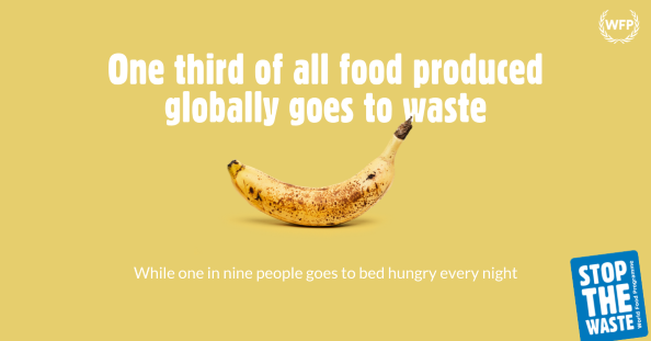 how to help stop world hunger