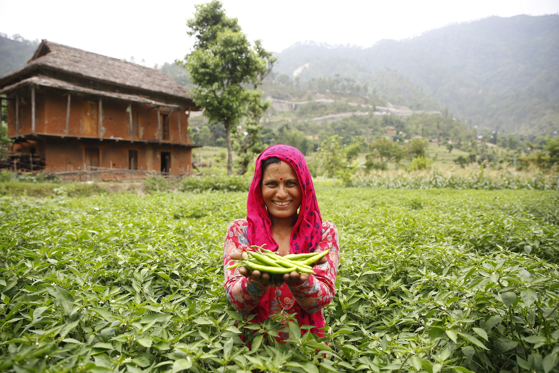 Sweden strengthens partnership to accelerate economic empowerment for rural women
