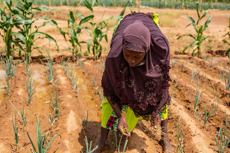 Women farmers like this one have benefitted from WFP's assistance, thanks to support from Italy. Photo: WFP/Brunel tttOuangraoua