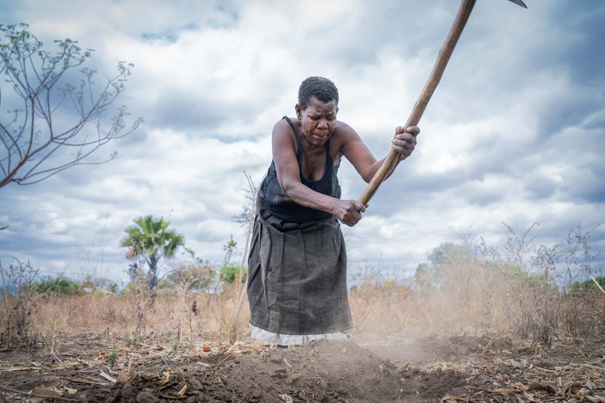 Photo: WFP/Badre Bahaji. Women working on her farm. As part of the project, she has been trained on climate-smart agriculture. ion.