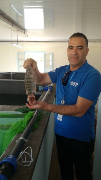 Photo: WFP/  Wafaa Soussi,  fish farm in Algeria’s Tindouf refugee camps