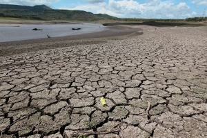 Rising Hunger In Central America And Haiti As El Niño Follows Prolonged Drought – WFP