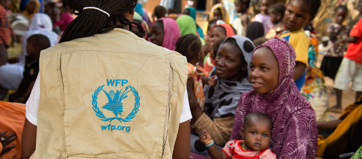 Internal audit and investigations | World Food Programme - Vimarsana News