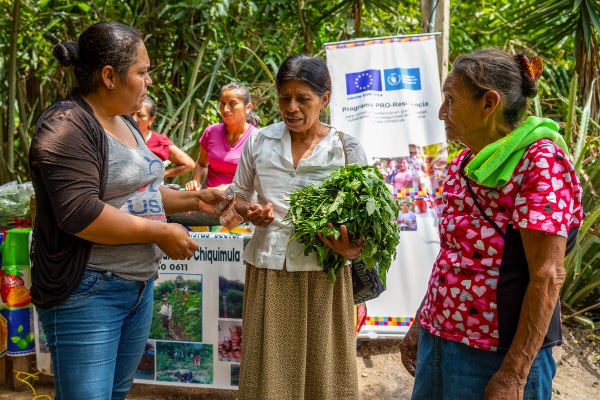 guatemala