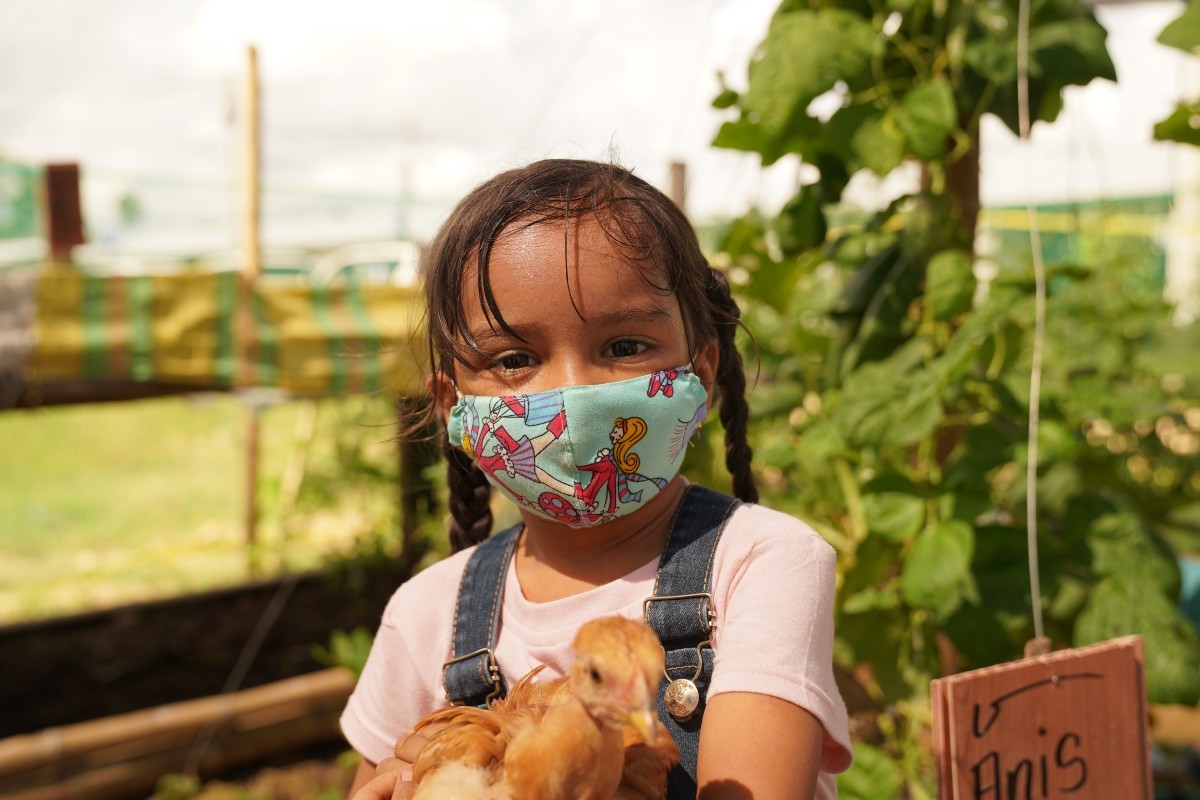 Putting down weapons to grow peace in Colombia | World Food Programme