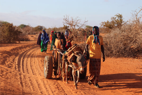 Internally displaced people arrive at Kaharey camp, Dolow, Somalia.