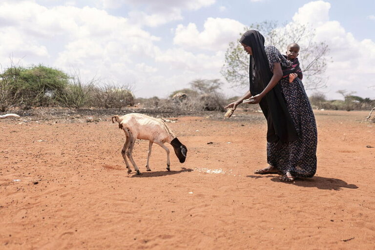  No rain and no resources; millions of families across the horn of Africa pushed closer to catastrophe each day 