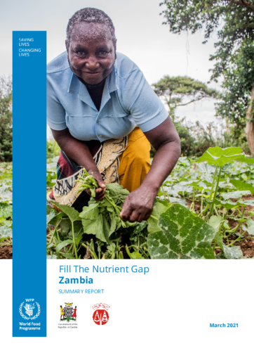 Zambia Summary Report 2021 – (English) 