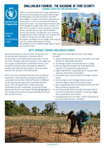 Smallholder farmers: the backbone of food security  
