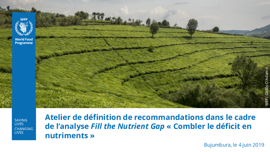 Atelier de définition de recommandations dans le cadre  de l’analyse Fill the Nutrient Gap « Combler le déficit en  nutriments »