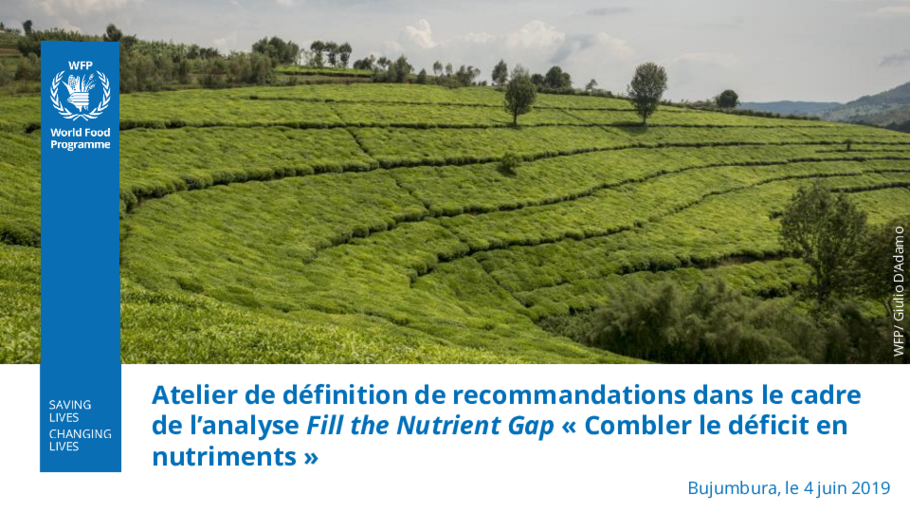 Atelier De Definition De Recommandations Dans Le Cadre De L Analyse Fill The Nutrient Gap Combler Le Deficit En Nutriments World Food Programme
