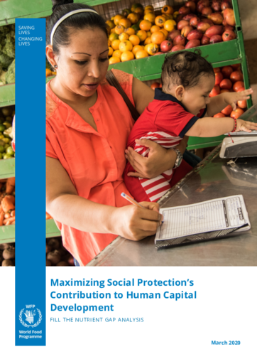 Maximizing Social Protection's Contribution to Human Capital Development -Fill the Nutrient Gap Analysis 