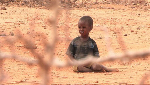 Keeping Hunger At Bay In Drought-Scorched Kenya