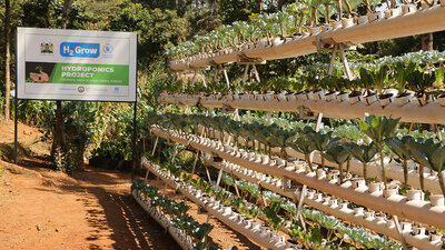In Kibera, Kenya, WFP has implemented Hydroponic Farming at Olympic Primary School, with great participation of students and the local community. WFP/Martin Karimi