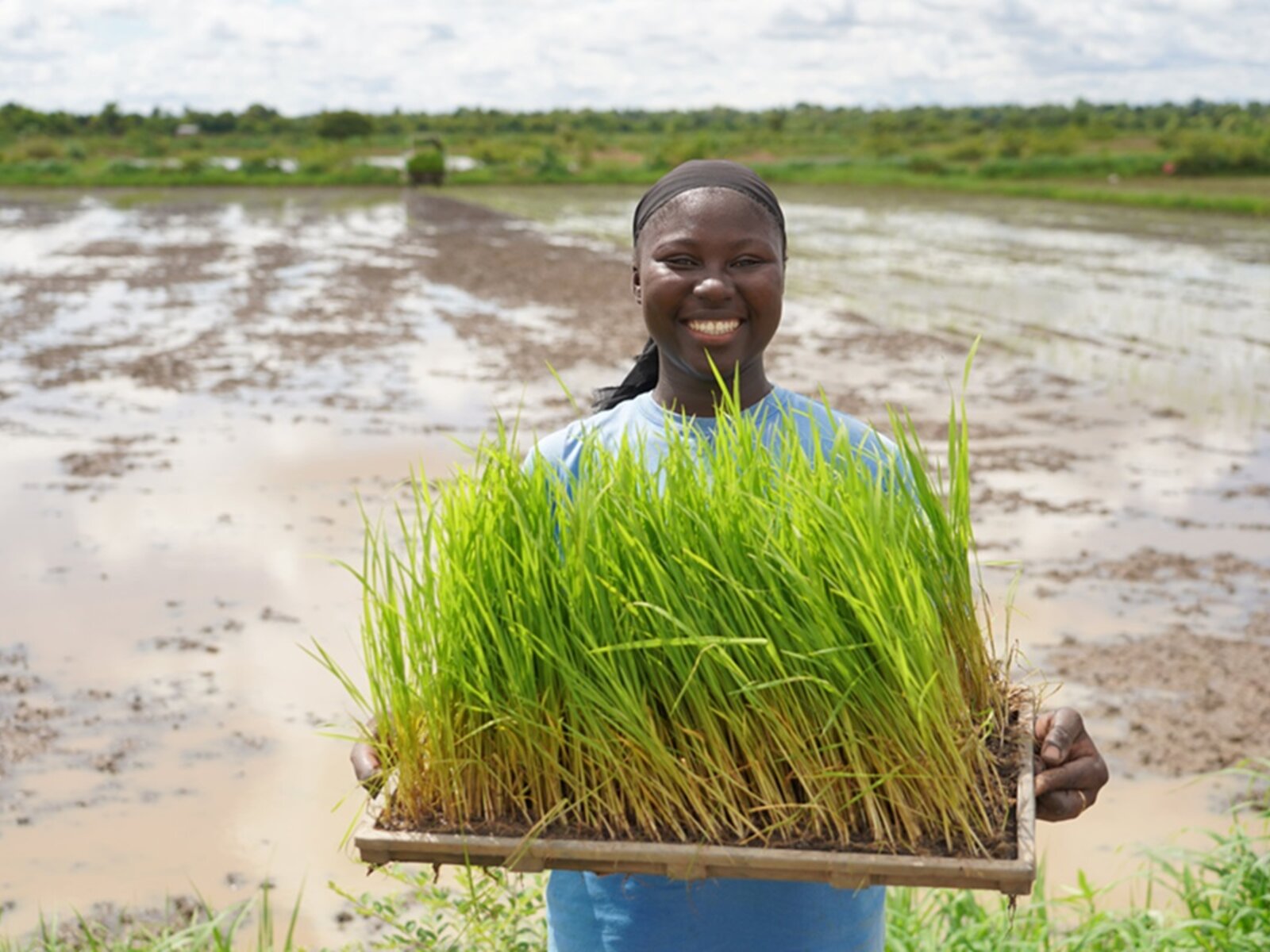 Gambia Rice Gambia | World Food Programme