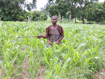 Orou Dankéré, a woman benefiting from resilience activities pulverising her maize field.