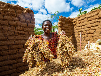 A woman holding up two large clusters of harvested grains, standing between two partially constructed mud brick walls.