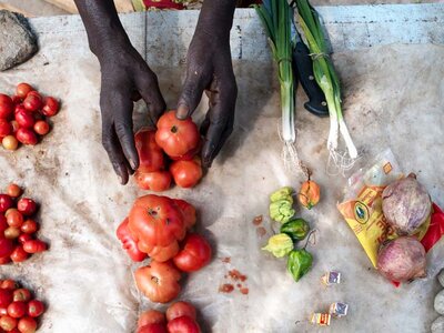 Fresh vegetables displayed for sale