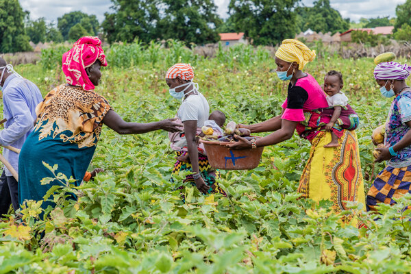 Women working in field