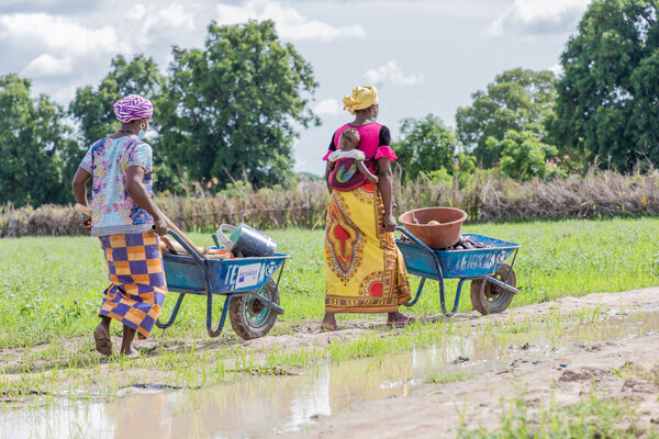 Women moving produce in wheelbarrows