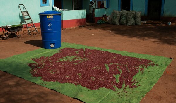 Photo: WFP/Alessandro Abbonizio